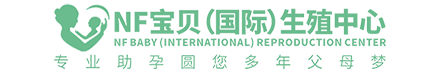君晟网